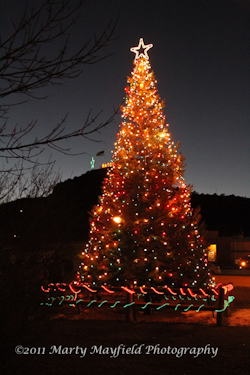 Raton Christmas Tree